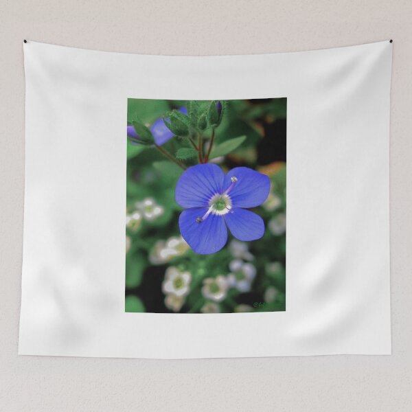 Item preview, Blooming designed and sold by heatherfriedman.