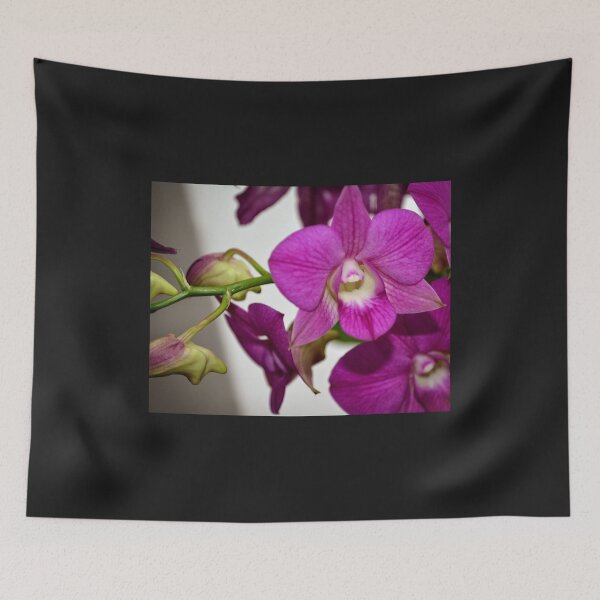Item preview, Pink Ladies designed and sold by WhiteOak Art Designs.