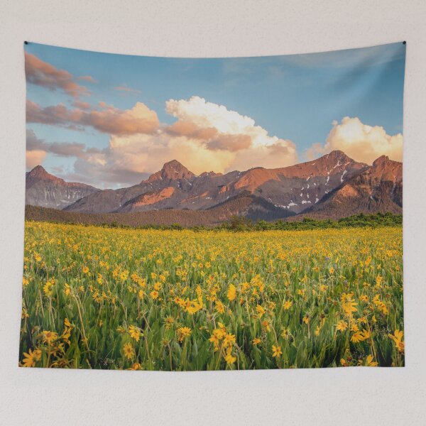 Item preview, Dallas Divide Daisies at Sunset designed and sold by Ken Fleming.