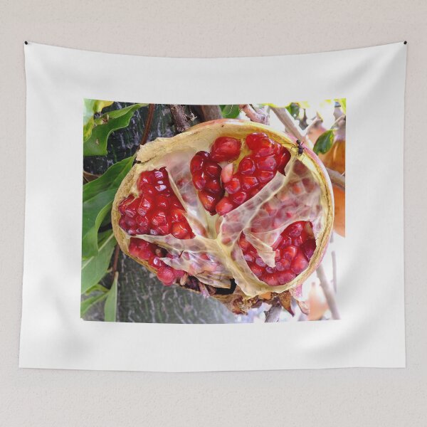 Item preview, Half of a Pomagranate designed and sold by sandysartstudio.