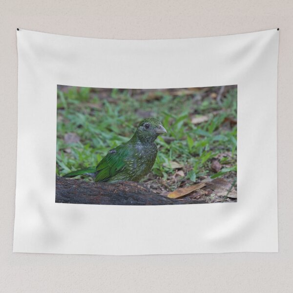 Item preview, Juvenile Curiosity designed and sold by byronbackyard.