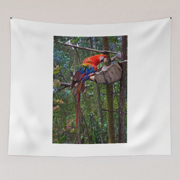 Item preview, Amaru Parrot designed and sold by alabca.