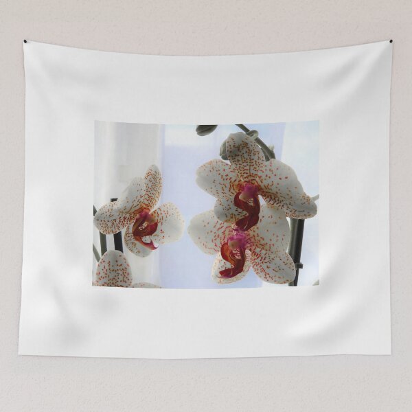 Item preview, Faded orchid designed and sold by StudioCorvid.