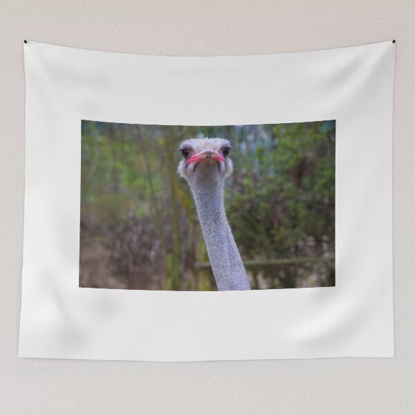 Item preview, My Head Is Not In The Sand Anymore designed and sold by alabca.