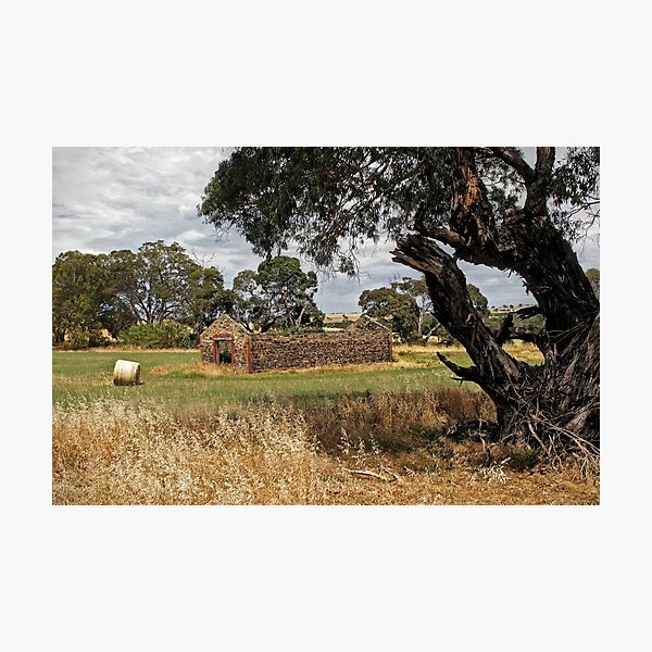 Item preview, Barn and Bale in Hindmarsh Vale designed and sold by TonyCrehan.