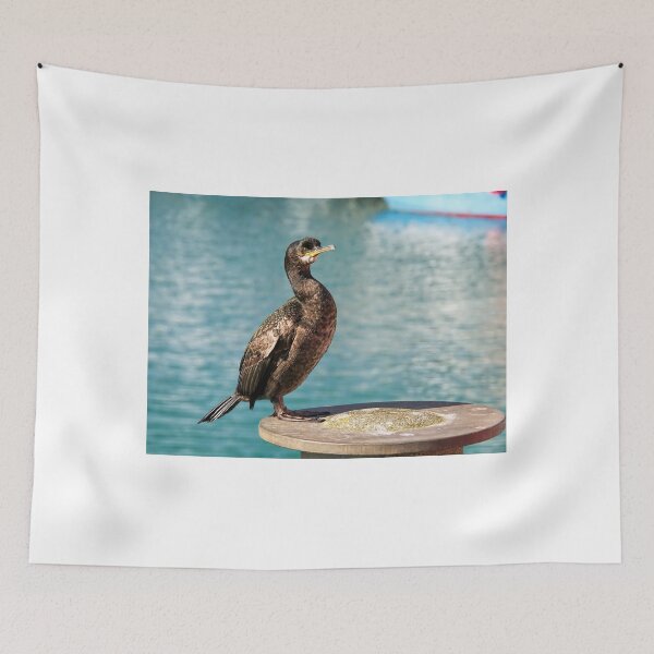 Item preview, Cormorant/Shag At Padstow Harbour designed and sold by Dorset Girl.