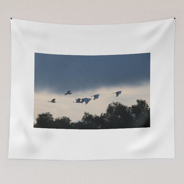 Item preview, Evening Egrets designed and sold by byronbackyard.