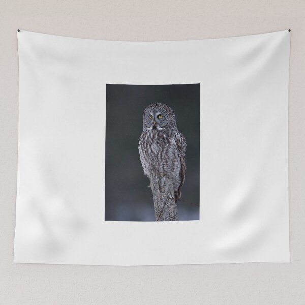 Item preview, Great Grey Owl designed and sold by James Cumming.