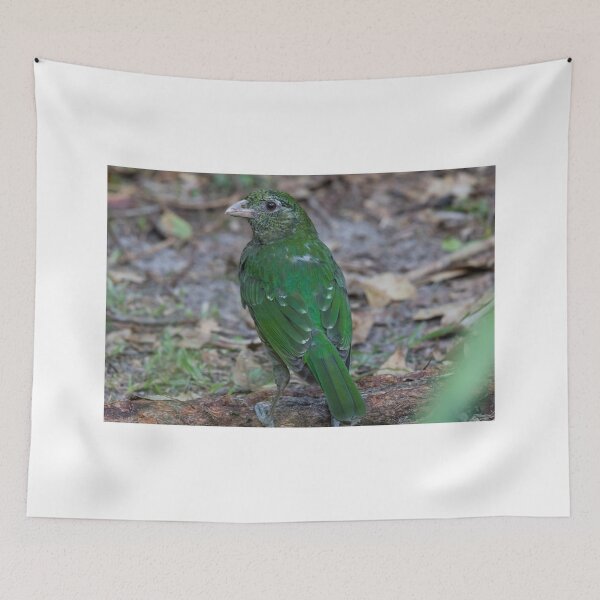 Item preview, On The Food Trail designed and sold by byronbackyard.