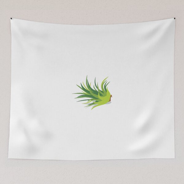 Item preview, Tillandsia Air Plant I designed and sold by brilliantbotany.