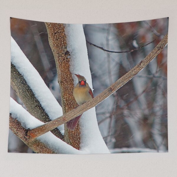 Item preview, Oh great, and I just had my hair done! designed and sold by Frankie Cat Photography.