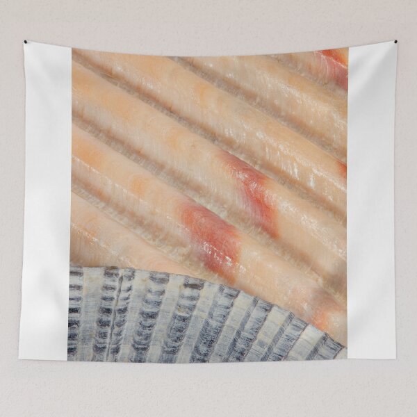 Item preview, Seashells designed and sold by WorldDesign.