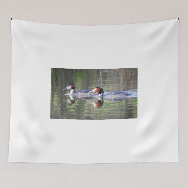 Item preview, Great crested grebes designed and sold by StudioCorvid.