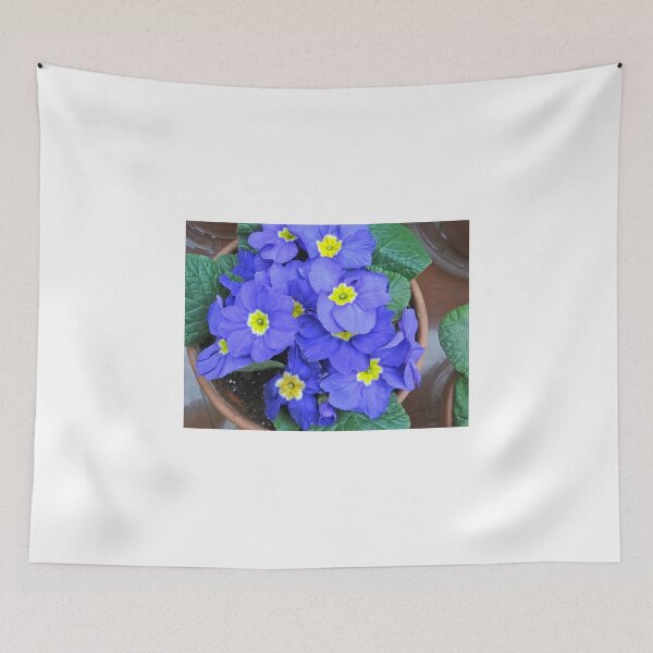 Item preview, periwinkle primrose II designed and sold by Liesl Gaesser.