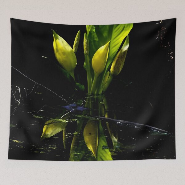 Item preview, Reflecting Lily designed and sold by Barbara D Richards.
