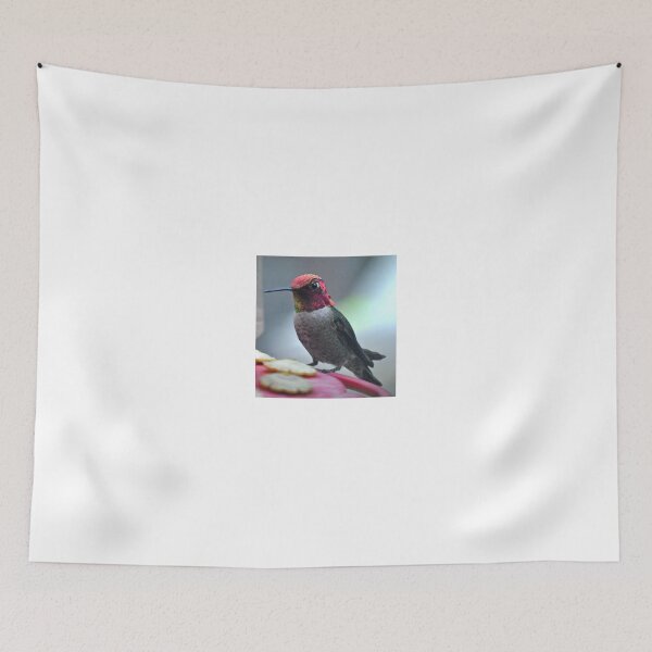 Item preview, MALE ANNA'S HUMMINGBIRD ON FEEDER PERCH designed and sold by JAYMILO.