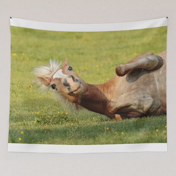 Item preview, Rolling Horse designed and sold by WorldDesign.