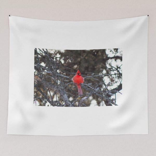 Item preview, Winter Cardinal designed and sold by KHartmann.