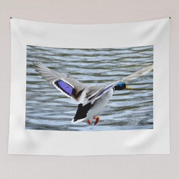 Item preview, Mallard Duck in flight designed and sold by Laurie Minor.
