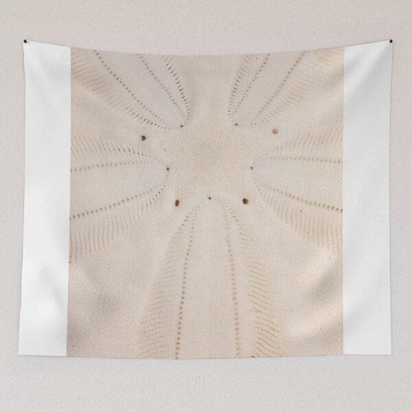 Item preview, Sand Dollar Pattern designed and sold by WorldDesign.