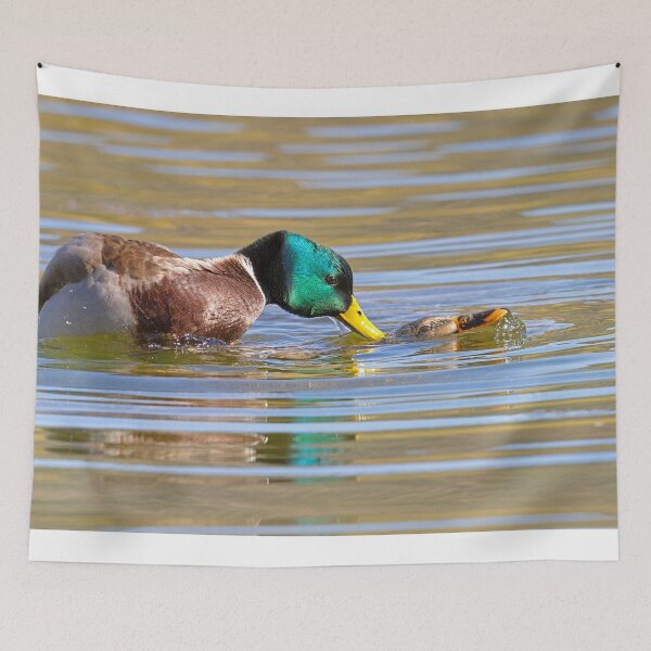 Item preview, Mallard Courtship designed and sold by WorldDesign.