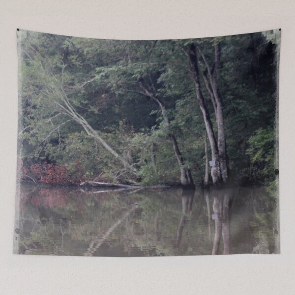 Item preview, Reflection of Timeless Trees designed and sold by OpheliaLamp.