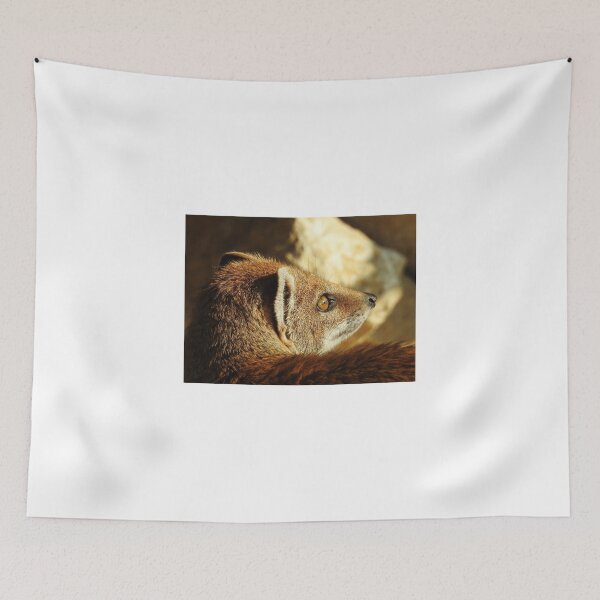 Item preview, mongoose  designed and sold by StudioCorvid.
