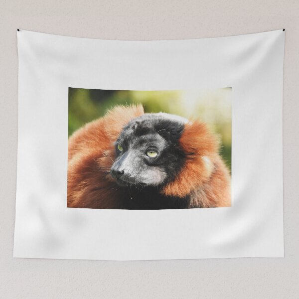 Item preview, Red ruffed lemur  designed and sold by StudioCorvid.