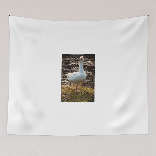 Item preview, Just a Gander? designed and sold by LesHogganPhotos.