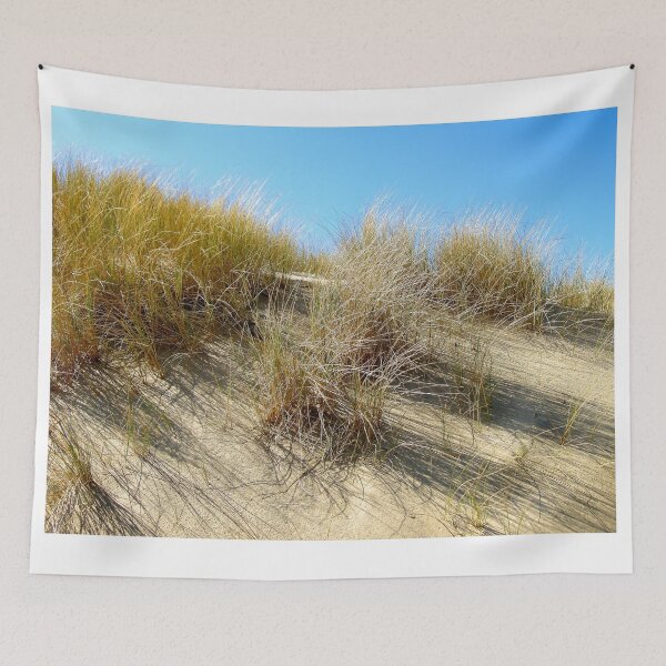 Item preview, Dune Grass: East Durham Coast, England designed and sold by Paul-Berry.