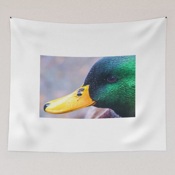 Item preview, Derbyshire Drake.....!! designed and sold by brimel55.