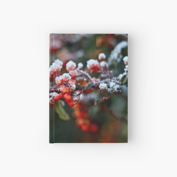 Winter's Kiss Hardcover Journal