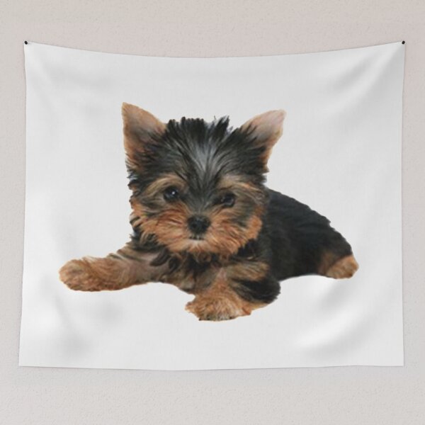 Aperçu de l'œuvre Yorkie Pup créée et vendue par LadyBoner69.