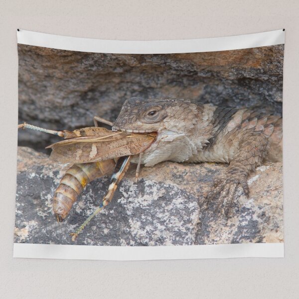 Item preview, Crevice Lizard vs Grasshopper designed and sold by WorldDesign.
