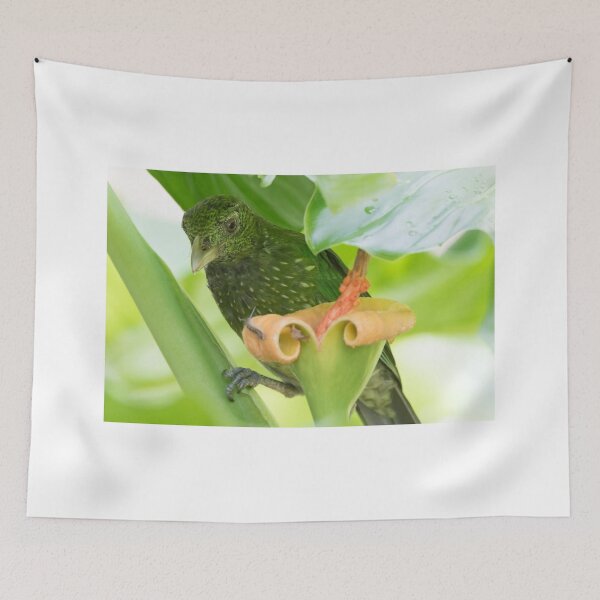 Item preview, Irridescent  designed and sold by byronbackyard.