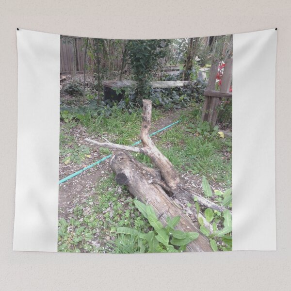 Item preview, The Tall Log Caressed His Fallen Log Friend designed and sold by pinkyjainpan.