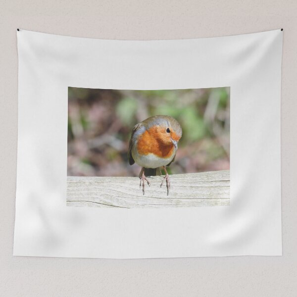 Item preview, Robin designed and sold by StudioCorvid.
