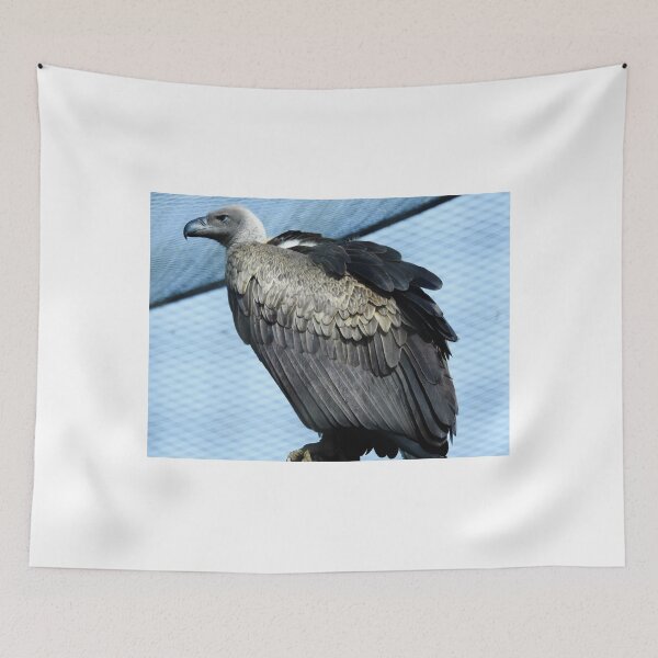 Item preview, Vulture designed and sold by StudioCorvid.