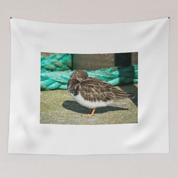 Item preview, Sleepy Turnstone At Padstow Harbour designed and sold by Dorset Girl.