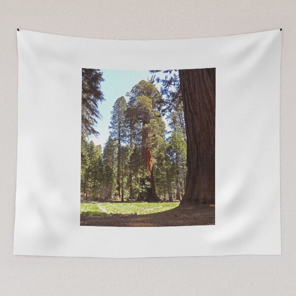 Item preview, Giant Sequoia Tree designed and sold by HHImagery.