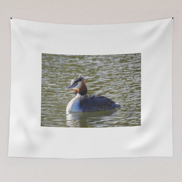 Item preview, Great crested grebe designed and sold by StudioCorvid.