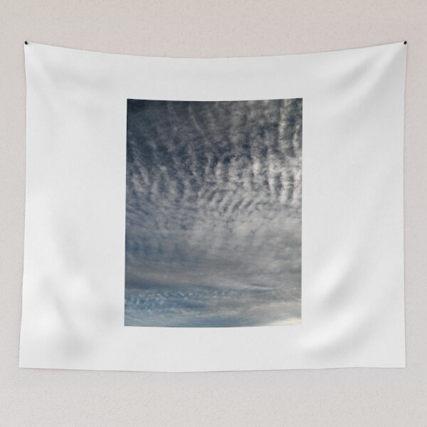 Item preview, Winter Sky (8782) designed and sold by sensameleon.