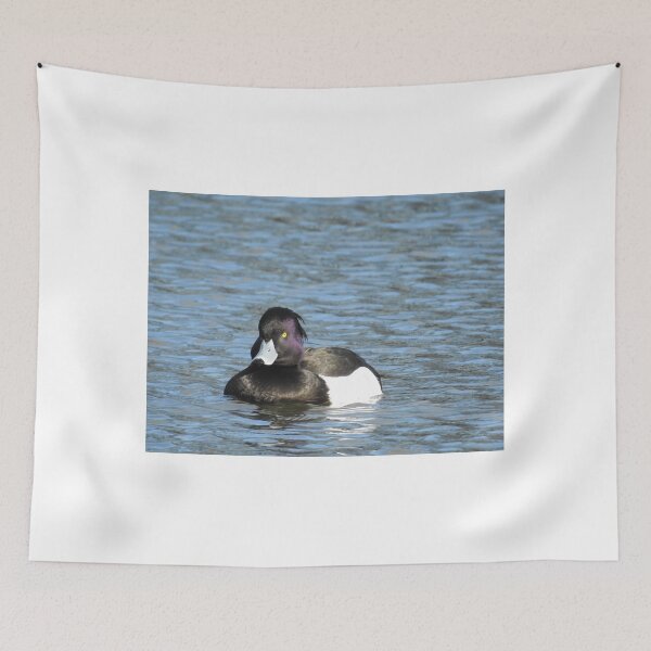 Item preview, Tufted duck designed and sold by StudioCorvid.