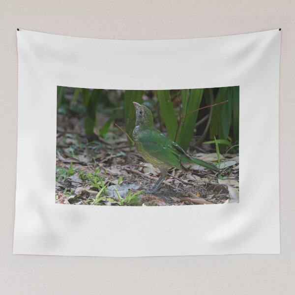 Item preview, Backyard Juvenile designed and sold by byronbackyard.