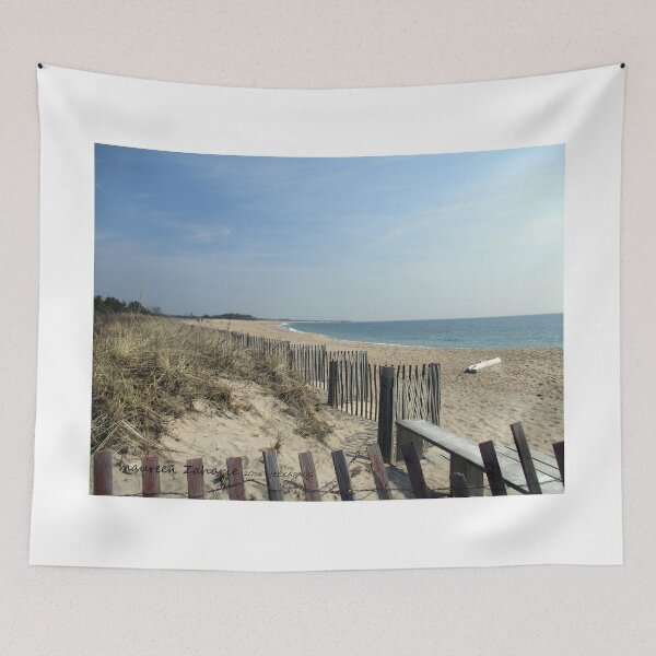 Item preview, WEEKAPAUG BEACH FENCE 2016 designed and sold by Maureen Zaharie.