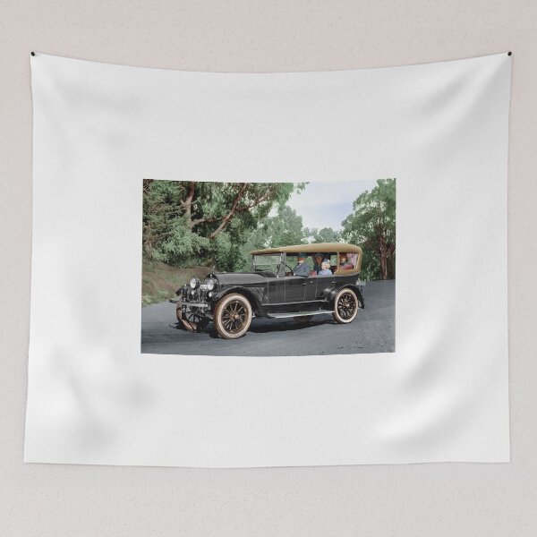 Aperçu de l'œuvre Coloré 1920 Haynes Touring Car dans les verts d'été créée et vendue par lexmil.