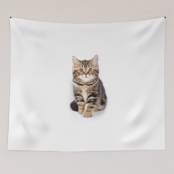 Item preview, Fluffy little tabby kitten British cat designed and sold by utekhina.
