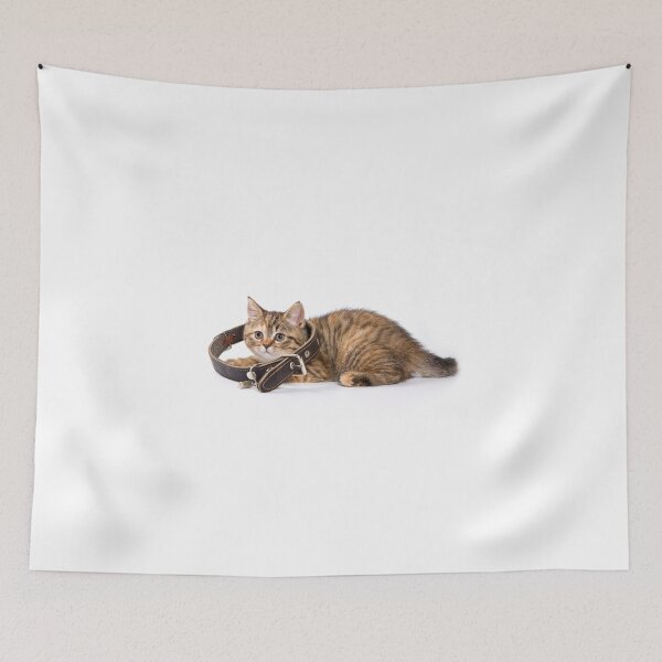 Item preview, Fluffy little tabby kitten British cat designed and sold by utekhina.