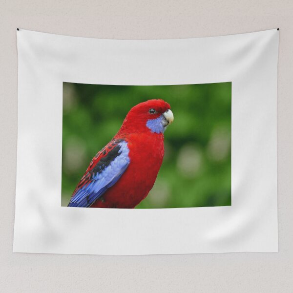 Aperçu de l'œuvre Rosella - NZ créée et vendue par AndreaEL.