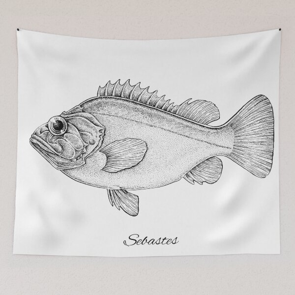 Aperçu de l'œuvre Sebastes créée et vendue par Evgenia's Fish Art.